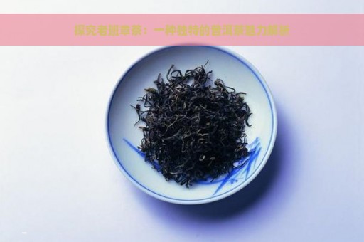 探究老班章茶：一种独特的普洱茶魅力解析