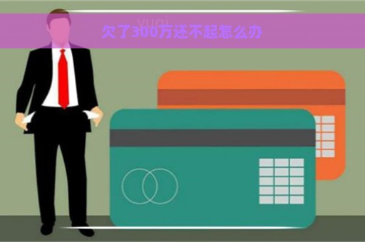 欠了300万还不起怎么办