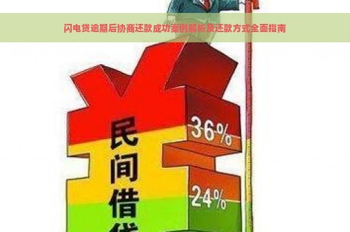 闪电贷逾期后协商还款成功案例解析及还款方式全面指南