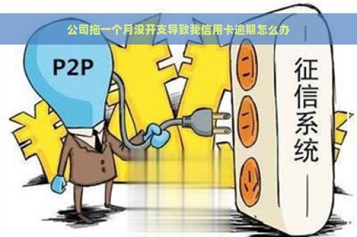 公司拖一个月没开支导致我信用卡逾期怎么办