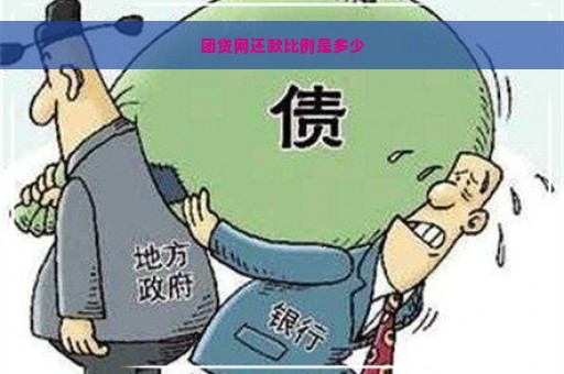 团贷网还款比例是多少