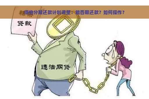 得物分期还款计划调整：能否期还款？如何操作？