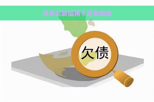 没有欠款信用卡还款成功