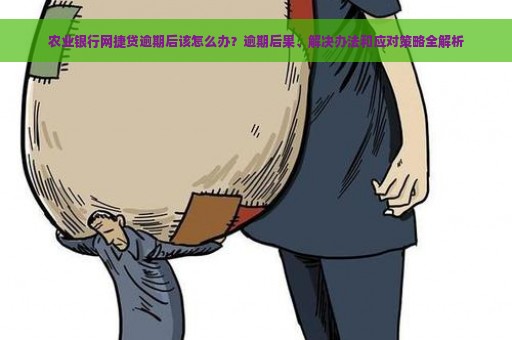 农业银行网捷贷逾期后该怎么办？逾期后果、解决办法和应对策略全解析