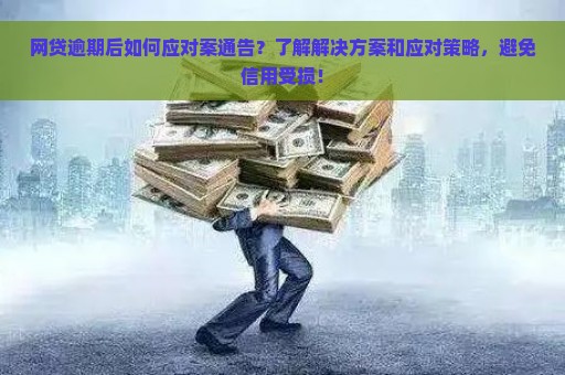 网贷逾期后如何应对案通告？了解解决方案和应对策略，避免信用受损！