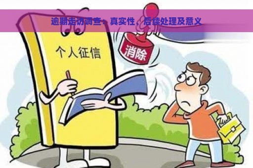 逾期走访调查：真实性、后续处理及意义