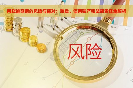 网贷逾期后的风险与应对：转卖、信用破产和法律责任全解析