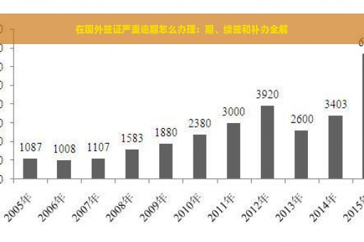 在国外签证严重逾期怎么办理：期、续签和补办全解