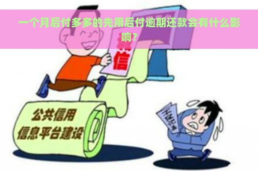 一个月后付多多的先用后付逾期还款会有什么影响？