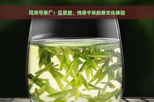 同庆号茶厂：品质越，传承千年的茶文化体验