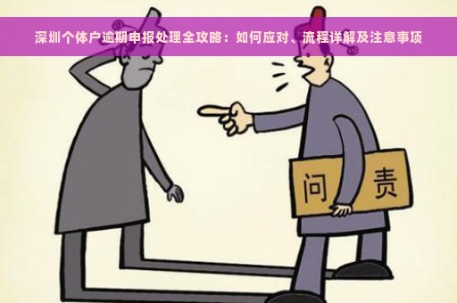 深圳个体户逾期申报处理全攻略：如何应对、流程详解及注意事项