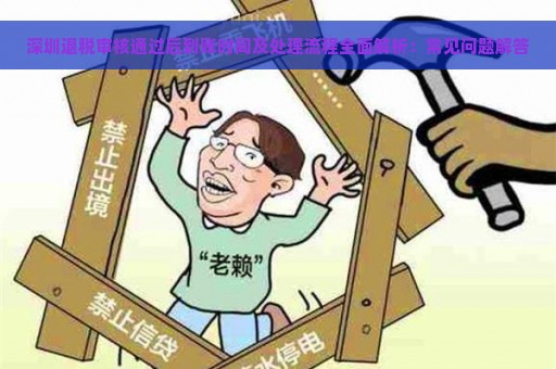 深圳退税审核通过后到账时间及处理流程全面解析：常见问题解答