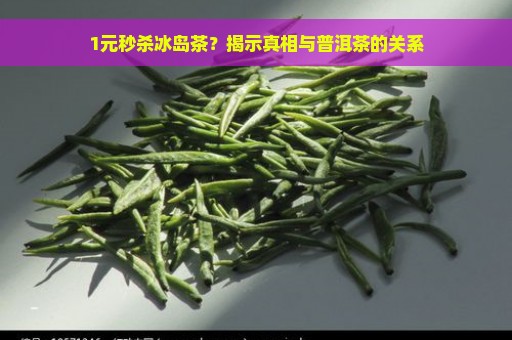 1元秒杀冰岛茶？揭示真相与普洱茶的关系