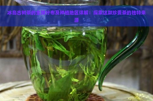 冰岛古树茶的全球分布及种植地区详解：探索这款珍贵茶的独特来源