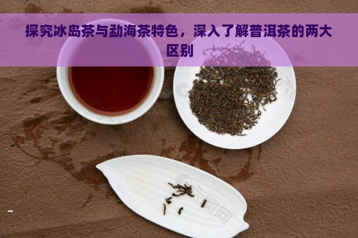 探究冰岛茶与勐海茶特色，深入了解普洱茶的两大区别