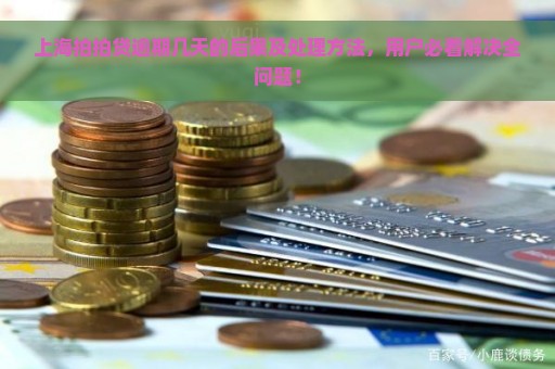 上海拍拍贷逾期几天的后果及处理方法，用户必看解决全问题！