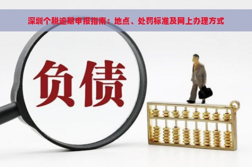 深圳个税逾期申报指南：地点、处罚标准及网上办理方式