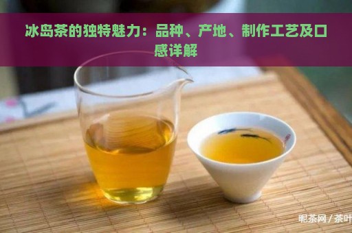 冰岛茶的独特魅力：品种、产地、制作工艺及口感详解