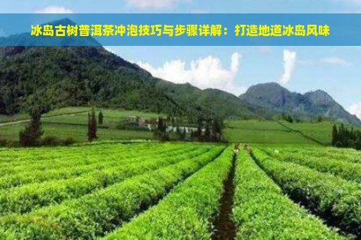 冰岛古树普洱茶冲泡技巧与步骤详解：打造地道冰岛风味