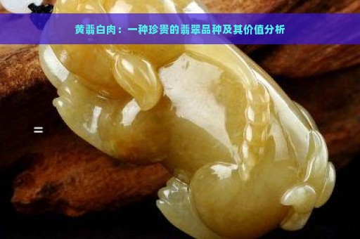 黄翡白肉：一种珍贵的翡翠品种及其价值分析