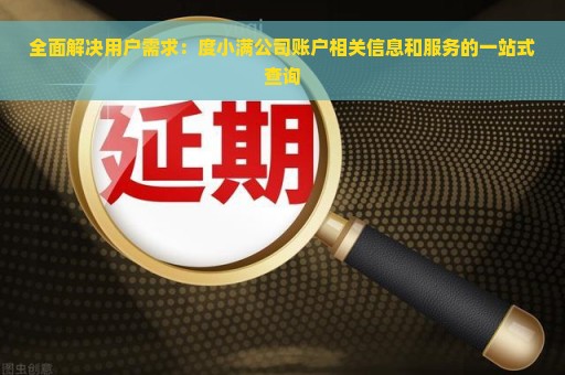 全面解决用户需求：度小满公司账户相关信息和服务的一站式查询