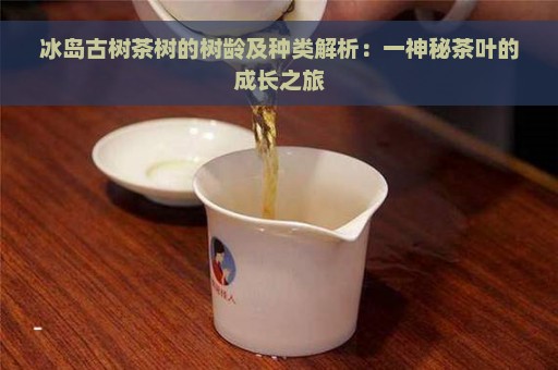 冰岛古树茶树的树龄及种类解析：一神秘茶叶的成长之旅