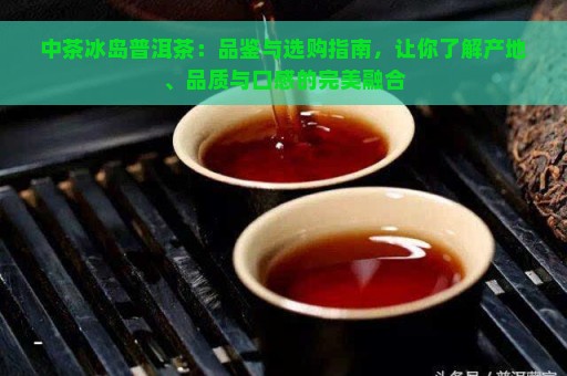 中茶冰岛普洱茶：品鉴与选购指南，让你了解产地、品质与口感的完美融合