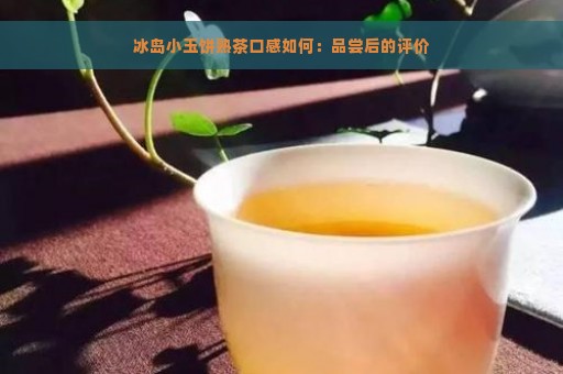 冰岛小玉饼熟茶口感如何：品尝后的评价