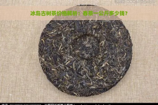 冰岛古树茶价格解析：春茶一公斤多少钱？