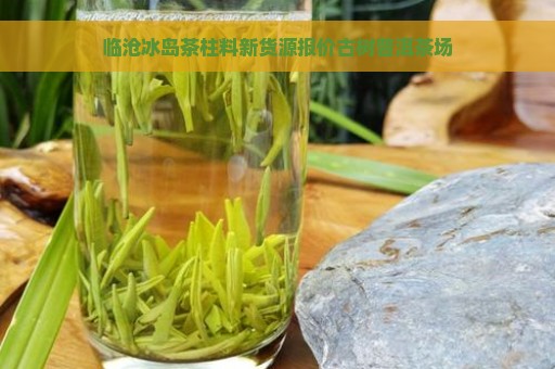 临沧冰岛茶柱料新货源报价古树普洱茶场