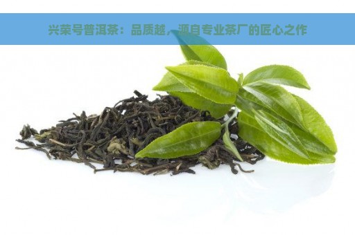兴荣号普洱茶：品质越，源自专业茶厂的匠心之作