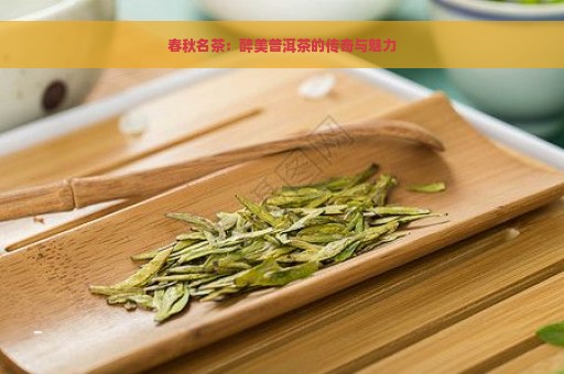 春秋名茶：醉美普洱茶的传奇与魅力