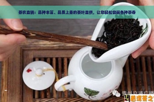 茶农直销：品种丰富、品质上乘的茶叶直供，让您轻松尝遍各种茶香