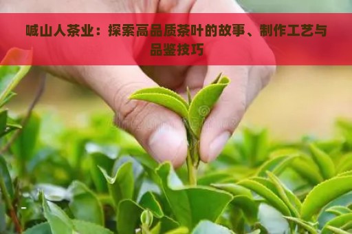 喊山人茶业：探索高品质茶叶的故事、制作工艺与品鉴技巧