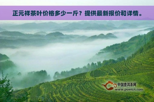 正元祥茶叶价格多少一斤？提供最新报价和详情。