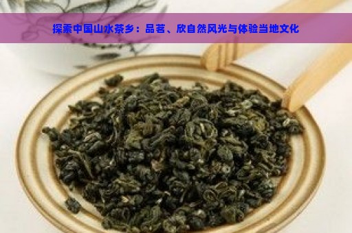 探索中国山水茶乡：品茗、欣自然风光与体验当地文化