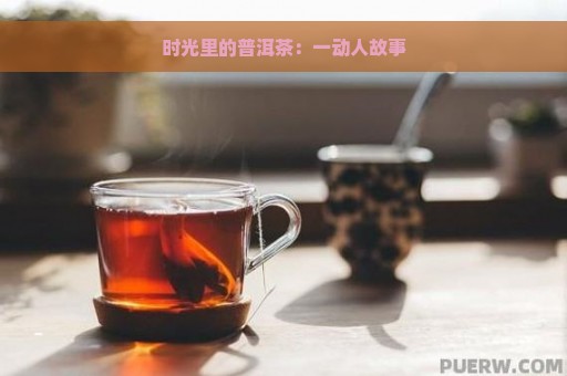 时光里的普洱茶：一动人故事