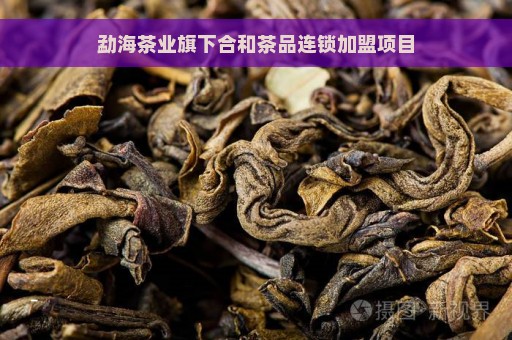 勐海茶业旗下合和茶品连锁加盟项目