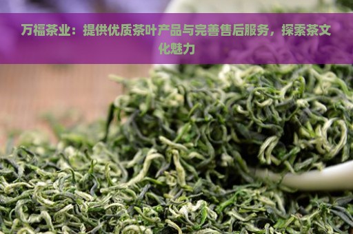 万福茶业：提供优质茶叶产品与完善售后服务，探索茶文化魅力