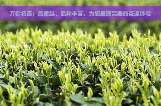 万福名茶：品质越、品种丰富，为您呈现完美的茶道体验