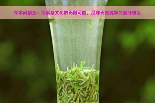 草木间茶业：探索茶文化的无限可能，品味天然纯净的茶叶佳品