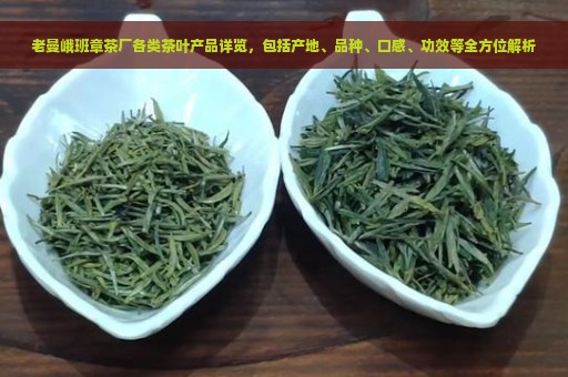 老曼峨班章茶厂各类茶叶产品详览，包括产地、品种、口感、功效等全方位解析