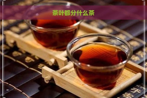 茶叶都分什么茶