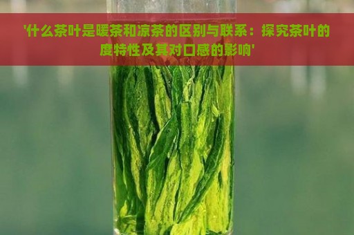 '什么茶叶是暖茶和凉茶的区别与联系：探究茶叶的度特性及其对口感的影响'