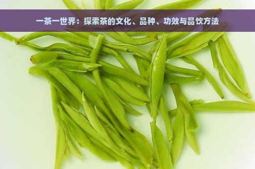 一茶一世界：探索茶的文化、品种、功效与品饮方法