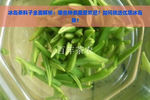 冰岛茶料子全面解析：哪些种类最受欢迎？如何挑选优质冰岛茶？