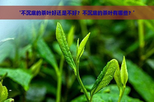 '不沉底的茶叶好还是不好？不沉底的茶叶有哪些？'