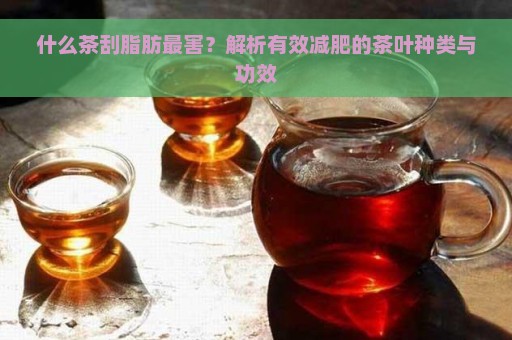 什么茶刮脂肪最害？解析有效减肥的茶叶种类与功效