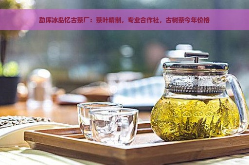 勐库冰岛忆古茶厂：茶叶精制，专业合作社，古树茶今年价格