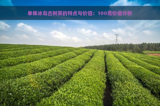 单株冰岛古树茶的特点与价值：100克价格分析